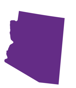 Arizona Purple FIll